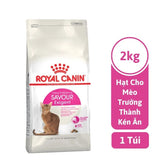Hạt Cho Mèo Trưởng Thành Kén Ăn Royal Canin Savour Exigent